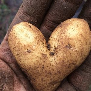 Meet your Posher, Meg